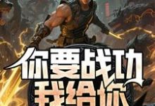 (全文)你要战功我给你，妖兽入侵你哭啥（叶天）全本书籍阅读你要战功我给你，妖兽入侵你哭啥免费小说全本-星辰文学