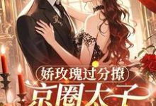 (全文)娇玫瑰过分撩,京圈太子底线全抛邓恩雅最新完结小说娇玫瑰过分撩,京圈太子底线全抛免费阅读-星辰文学