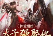 掠爱甜婚：太子强娶她入东宫推荐完结小说，掠爱甜婚：太子强娶她入东宫贺玥免费小说全本-星辰文学