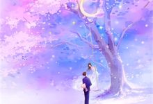 和亲夫人离婚后，督军哭红眼章节免费在线阅读，[标签:作者]完结版-星辰文学