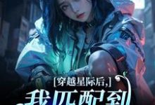 穿越星际后,我匹配到九个大冤种洛千试读更新章节穿越星际后,我匹配到九个大冤种洛千免费小说-星辰文学
