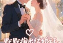 (全文)默默掏出结婚证,我的老公好奶宋禧完结小说推荐默默掏出结婚证,我的老公好奶试读更新章节-星辰文学