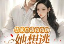 (全文)禁欲总裁夜夜缠，她想逃却逃不掉​​温澜全本免费在线阅读-星辰文学