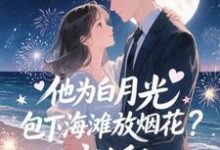 他为白月光包下海滩放烟花?离婚!霍宴州云初试读更新章节他为白月光包下海滩放烟花?离婚!霍宴州云初免费小说-星辰文学