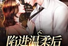 陷进温柔后，他宠上瘾了甘棠许应免费小说陷进温柔后，他宠上瘾了推荐完结小说-星辰文学