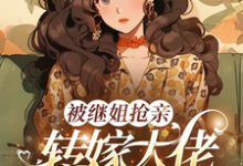 (全文)被继姐抢亲，转嫁大佬生双胎躺赢完结小说推荐陈星全本书籍阅读-星辰文学