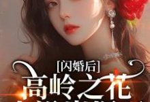 闪婚后,高岭之花人设崩塌了推荐完结小说闪婚后,高岭之花人设崩塌了(苏酥)免费小说全本-星辰文学