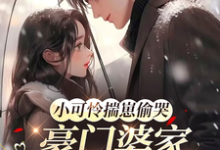 (全文)小可怜揣崽偷哭，豪门婆家来团宠（苏念念）全本书籍阅读小可怜揣崽偷哭，豪门婆家来团宠免费小说全本-星辰文学