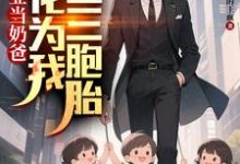(全文)毕业当奶爸：校花为我生了三胞胎顾琛最新完结小说毕业当奶爸：校花为我生了三胞胎免费小说全本-星辰文学