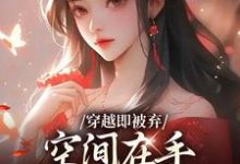 穿越即被弃，空间在手，极品靠边站最新章节阅读穿越即被弃，空间在手，极品靠边站(宋锦绣)试读更新章节-星辰文学