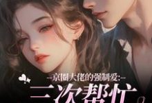 (全文)京圈大佬的强制爱：三次帮忙要我偿(陈盏)全本免费在线阅读-星辰文学