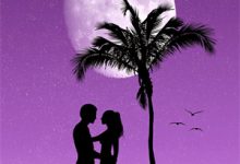 婚情告急：战少撩妻有一手免费阅读，婚情告急：战少撩妻有一手宁初战西沉-星辰文学