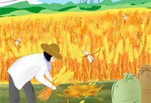 无限末世：开局一座地窖安全屋苏晓，无限末世：开局一座地窖安全屋章节在线阅读-星辰文学