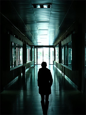 已完结小说《蔷薇花落秋风止》章节在线阅读