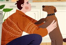 霓虹处遇见你林辰小说大结局免费试读-星辰文学